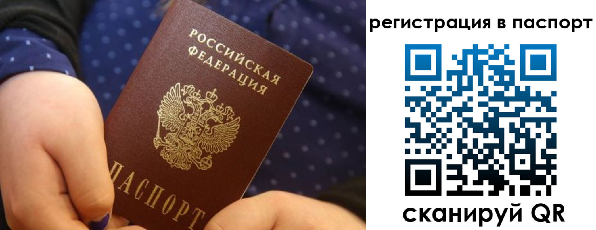 регистрация для дет. сада в Александровске